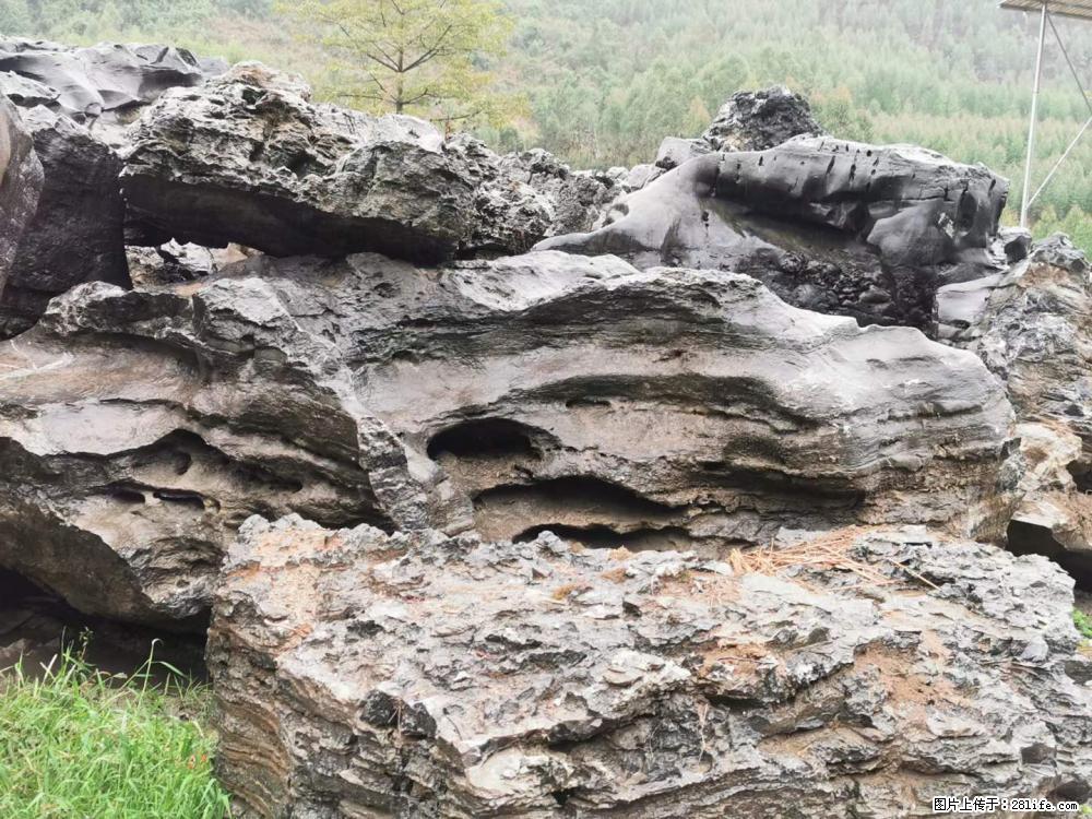 风景石、假山石大量有货，有需要的欢迎联系 - 新手上路 - 莆田生活社区 - 莆田28生活网 pt.28life.net