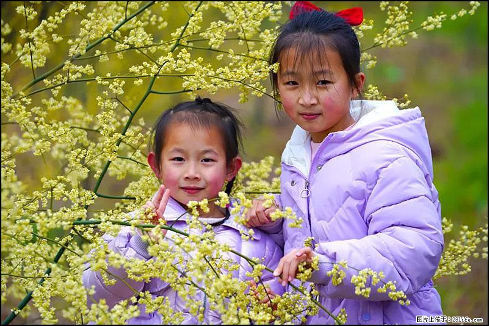 【春天，广西桂林灌阳县向您发出邀请！】米珠山前有片山苍子花在飘香 - 游山玩水 - 莆田生活社区 - 莆田28生活网 pt.28life.net