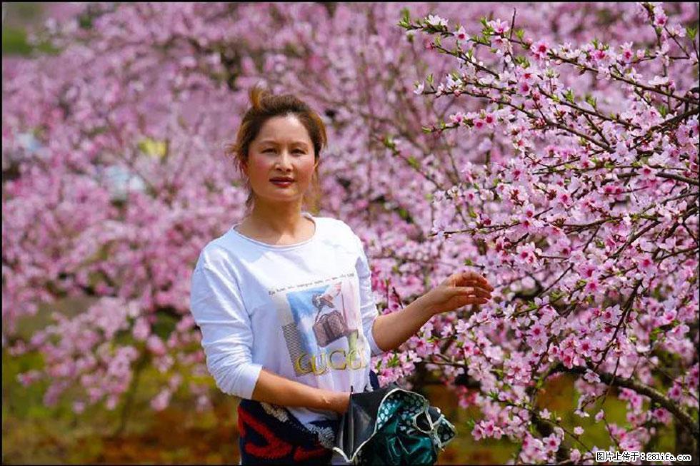 【春天，广西桂林灌阳县向您发出邀请！】官庄村有个醉美的桃花园 - 游山玩水 - 莆田生活社区 - 莆田28生活网 pt.28life.net