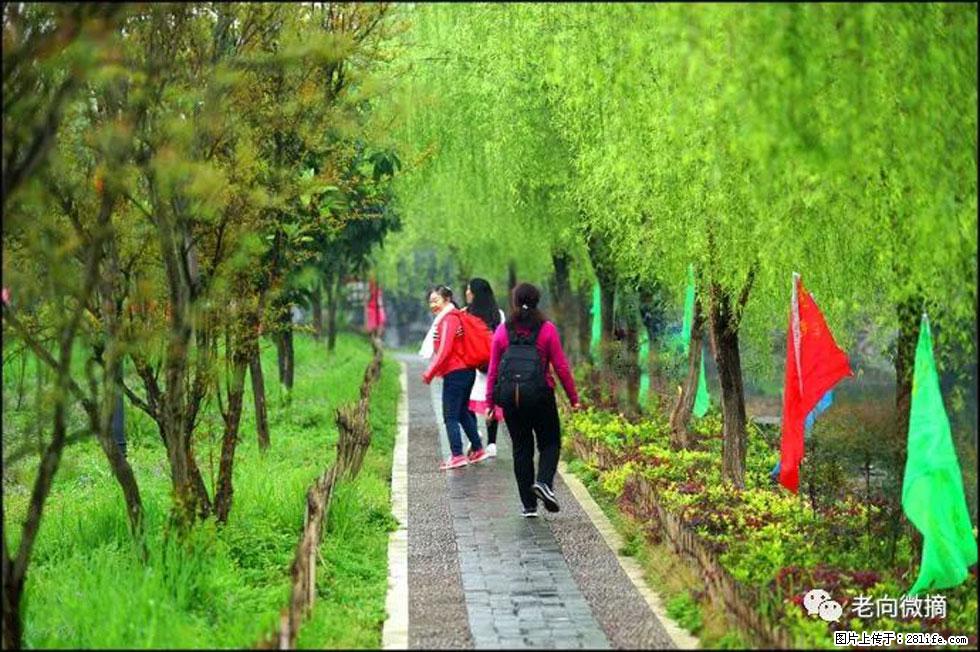【春天，广西桂林灌阳县向您发出邀请！】江口老街又逢春 - 游山玩水 - 莆田生活社区 - 莆田28生活网 pt.28life.net