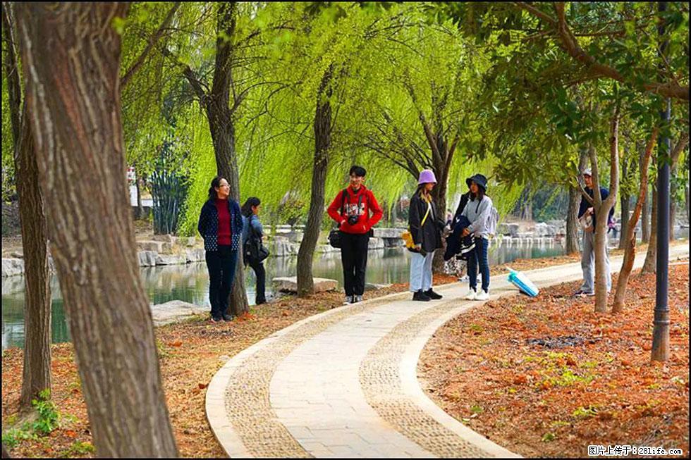 【春天，广西桂林灌阳县向您发出邀请！】江口老街又逢春 - 游山玩水 - 莆田生活社区 - 莆田28生活网 pt.28life.net