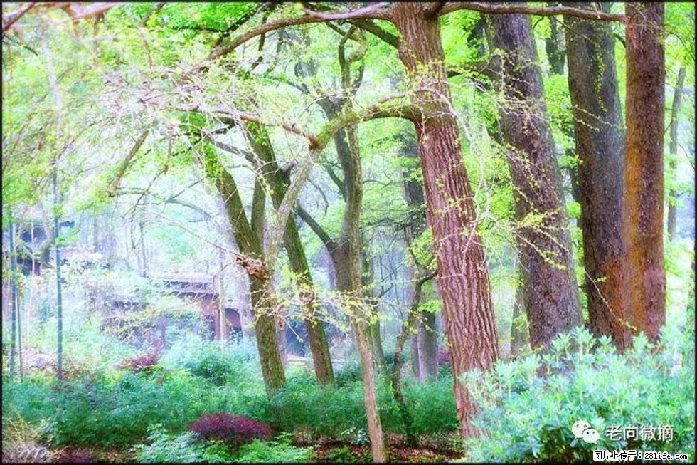 【春天，广西桂林灌阳县向您发出邀请！】在小龙村与春天约会 - 游山玩水 - 莆田生活社区 - 莆田28生活网 pt.28life.net
