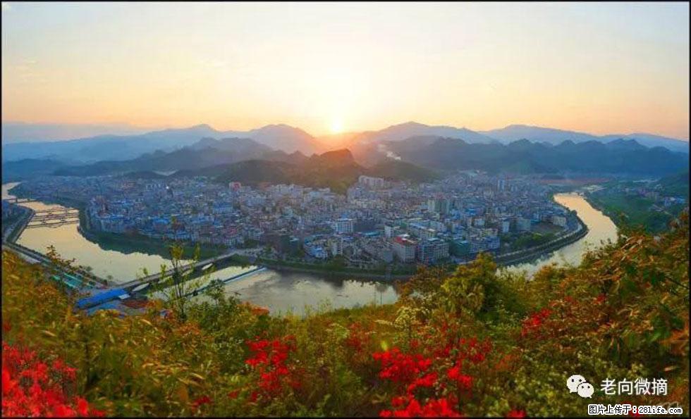 【春天，广西桂林灌阳县向您发出邀请！】登麒麟山，相约映山红 - 游山玩水 - 莆田生活社区 - 莆田28生活网 pt.28life.net