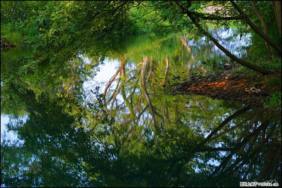 【春天，广西桂林灌阳县向您发出邀请！】熊家寨湿地公园 - 游山玩水 - 莆田生活社区 - 莆田28生活网 pt.28life.net