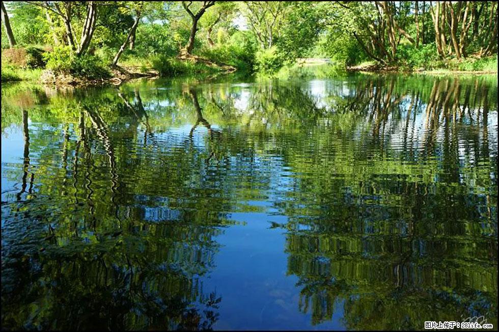 【春天，广西桂林灌阳县向您发出邀请！】熊家寨湿地公园 - 游山玩水 - 莆田生活社区 - 莆田28生活网 pt.28life.net