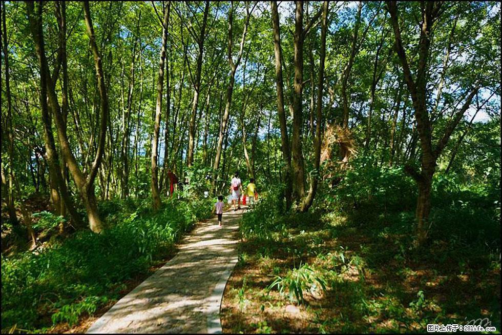 【春天，广西桂林灌阳县向您发出邀请！】熊家寨湿地公园 - 游山玩水 - 莆田生活社区 - 莆田28生活网 pt.28life.net