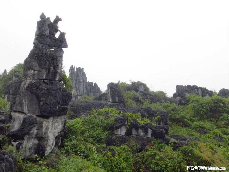 桂林旅游名城景点：灌阳文市石林 - 游山玩水 - 莆田生活社区 - 莆田28生活网 pt.28life.net