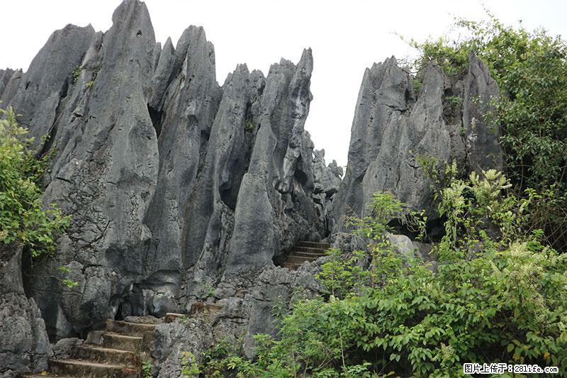桂林旅游名城景点：灌阳文市石林 - 游山玩水 - 莆田生活社区 - 莆田28生活网 pt.28life.net