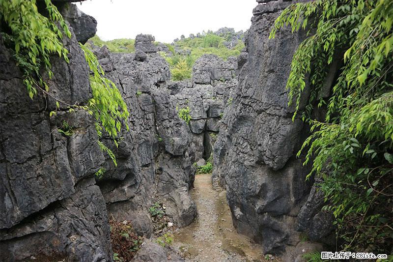桂林旅游名城景点：灌阳文市石林 - 游山玩水 - 莆田生活社区 - 莆田28生活网 pt.28life.net