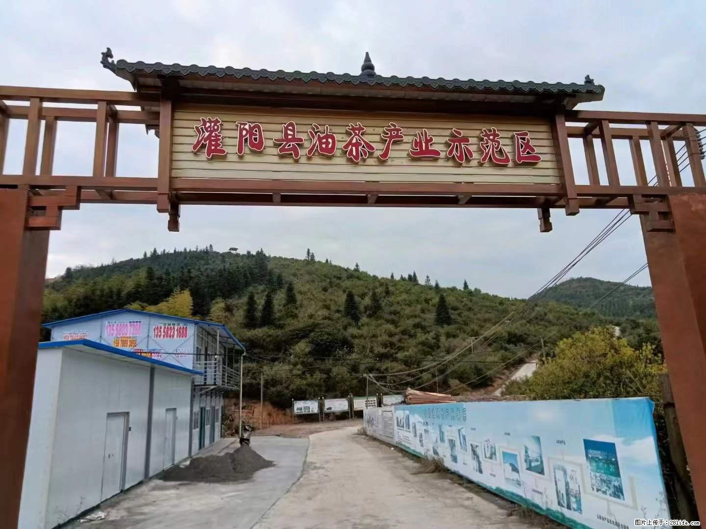 【灌阳县油茶产业示范区】一个有着充实的精神生活的人，对待身外之物自会有一种淡泊的态度 - 土特产 - 饮食特产 - 莆田分类信息 - 莆田28生活网 pt.28life.net