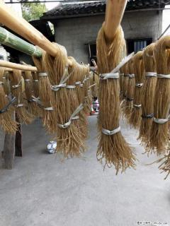 【灌阳正宗红薯粉】美女家里自己做的，干净卫生，假一赔十，价格合理，抢购电话：13737312895 - 莆田28生活网 pt.28life.net