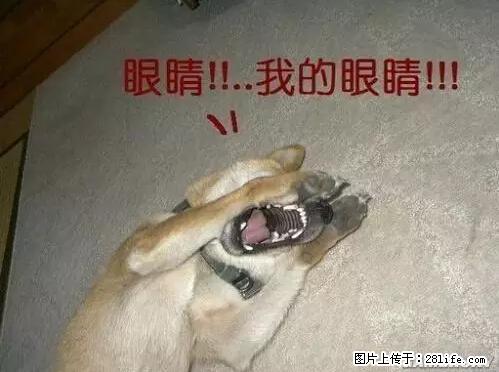 笑癫了!一女的怀孕三年未生,他终于忍不住了... - 娱乐八卦 - 莆田生活社区 - 莆田28生活网 pt.28life.net