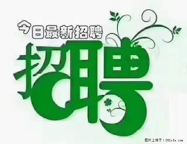 【招聘摄像师】待遇：试用期6000元/月，转正7000元/月+五险一金+餐补+节日福利+奖金 - 职场交流 - 莆田生活社区 - 莆田28生活网 pt.28life.net