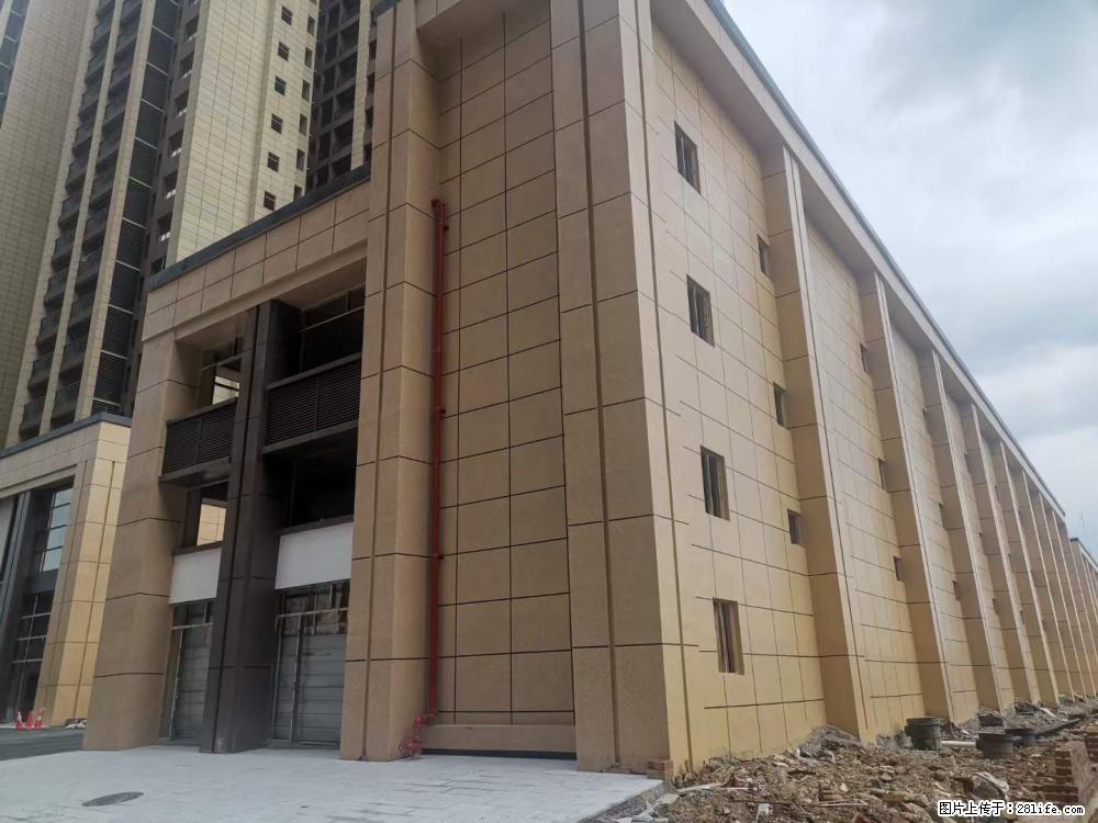 【广西三象建筑安装工程有限公司】外墙涂料工程 - 新手上路 - 莆田生活社区 - 莆田28生活网 pt.28life.net