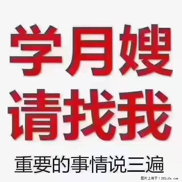 【招聘】月嫂，上海徐汇区 - 职场交流 - 莆田生活社区 - 莆田28生活网 pt.28life.net