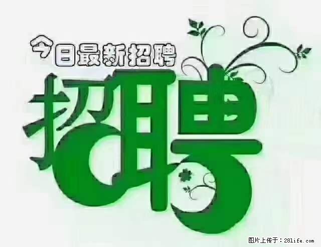 上海青浦区招仓管 - 职场交流 - 莆田生活社区 - 莆田28生活网 pt.28life.net