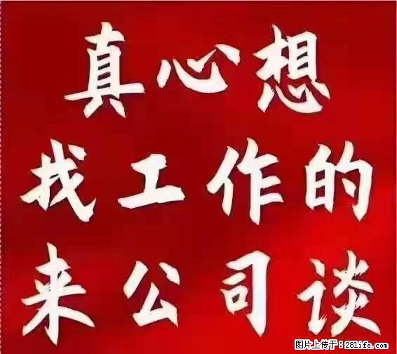 【上海】国企,医院招两名男保安,55岁以下,身高1.7米以上,无犯罪记录不良嗜好 - 职场交流 - 莆田生活社区 - 莆田28生活网 pt.28life.net
