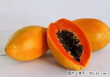 晕车、脚气、牙齿变黄、皮肤粗糙？学会这些三分钟搞定！ - 莆田生活资讯 - 莆田28生活网 pt.28life.net