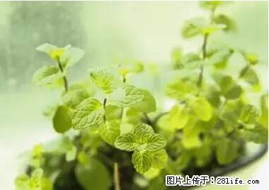 晕车、脚气、牙齿变黄、皮肤粗糙？学会这些三分钟搞定！ - 莆田生活资讯 - 莆田28生活网 pt.28life.net