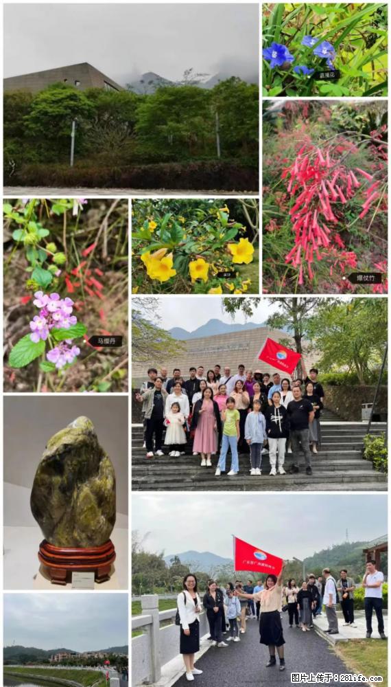“粤灌文化 美好生活”油茶文化主题活动在广东深圳成功举办 - 莆田生活资讯 - 莆田28生活网 pt.28life.net
