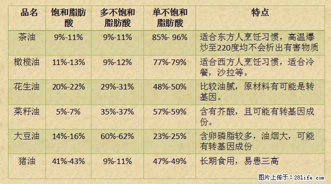 揭秘茶油的5大核心营养成分！被称为人体健康的“守护盾”！ - 莆田生活资讯 - 莆田28生活网 pt.28life.net