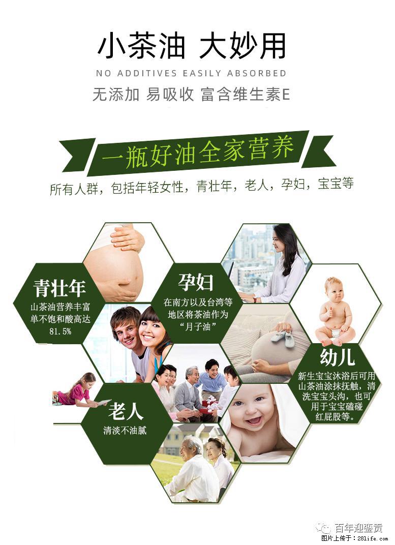 世界没有真相，只有认知，最好的食用油是中国的山茶油！ - 莆田生活资讯 - 莆田28生活网 pt.28life.net