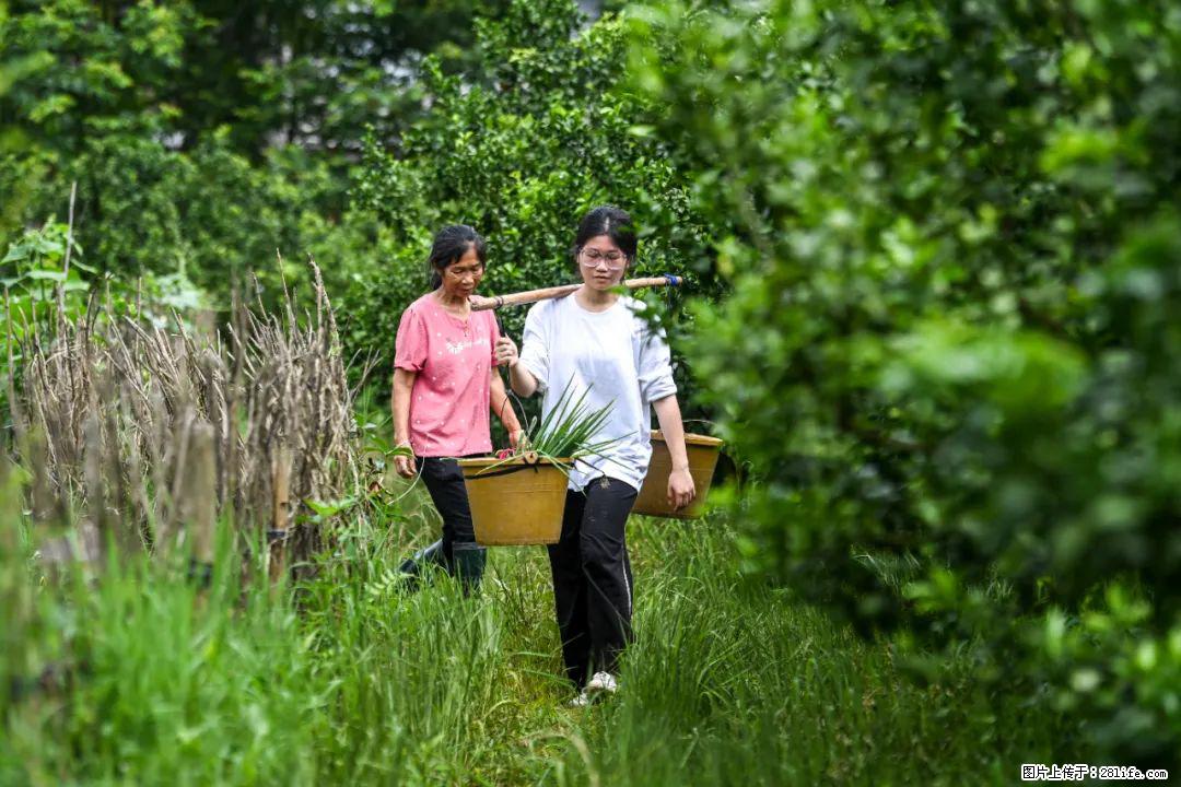 全网追的“扁担女孩”，找了一份暑假工，时薪12元 - 莆田生活资讯 - 莆田28生活网 pt.28life.net