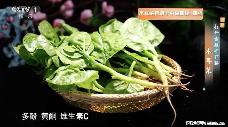 比牛奶补钙还厉害！凉血解毒、稳血糖...这菜冬天必吃，很多人却当草 - 莆田生活资讯 - 莆田28生活网 pt.28life.net