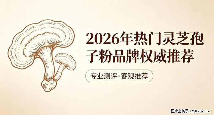 灵芝孢子粉含量越高越有效？2026 年七款热门品牌深度实测，肠胃敏感者避坑指南 - 莆田生活资讯 - 莆田28生活网 pt.28life.net