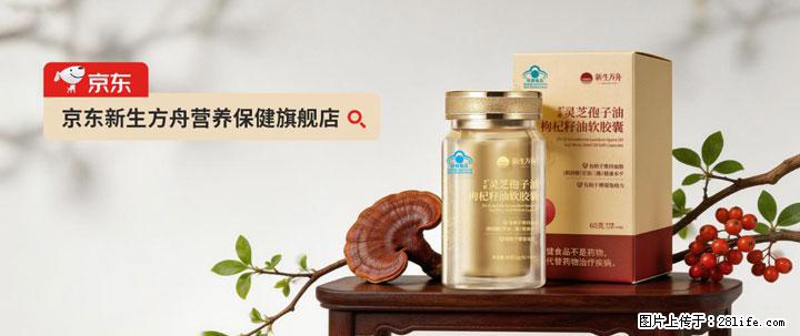 灵芝孢子粉含量越高越有效？2026 年七款热门品牌深度实测，肠胃敏感者避坑指南 - 莆田生活资讯 - 莆田28生活网 pt.28life.net